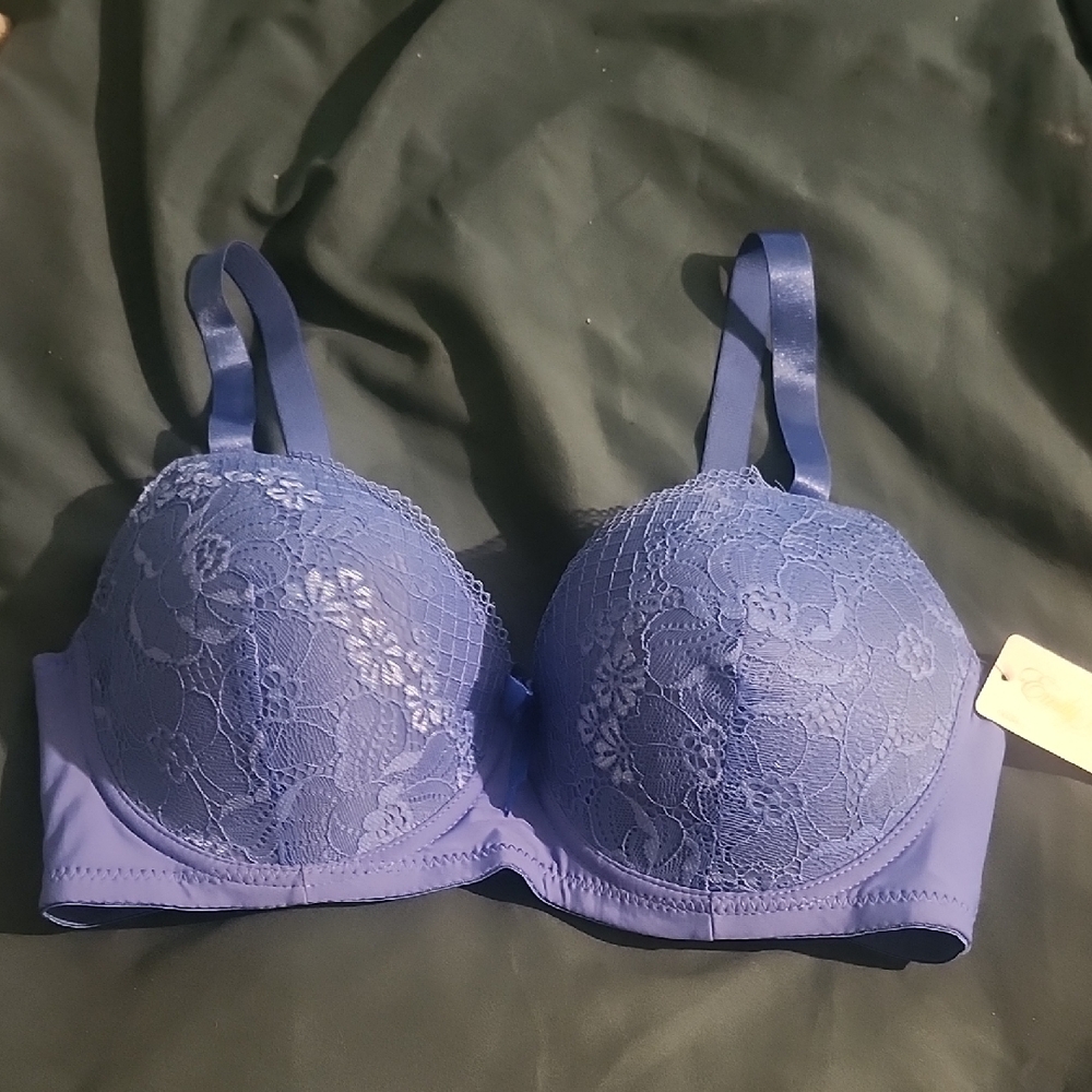 Chic Blue Emily Johnson  Lace Underwire Bra